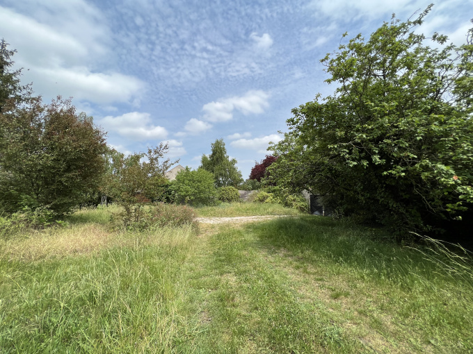 Offres de vente Terrain Olivet (45160)